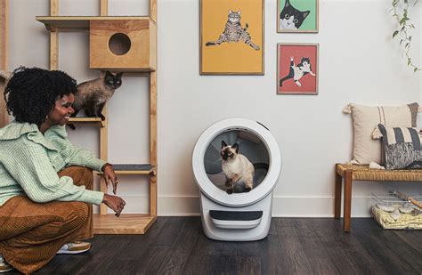 electrical litter box|litter robot official site.